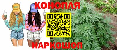 дурь Камышлов