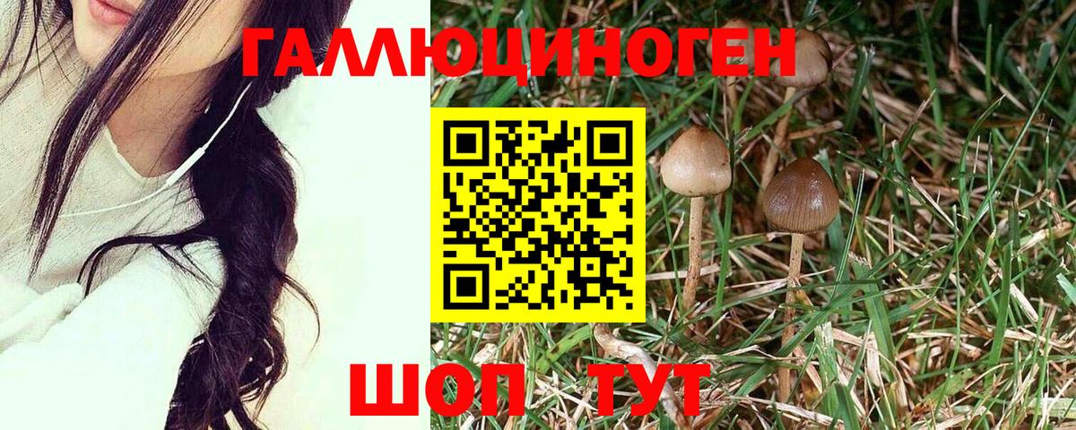 Арзамас  Галлюциногенные грибы MAGIC MUSHROOMS  Вход с VPN 