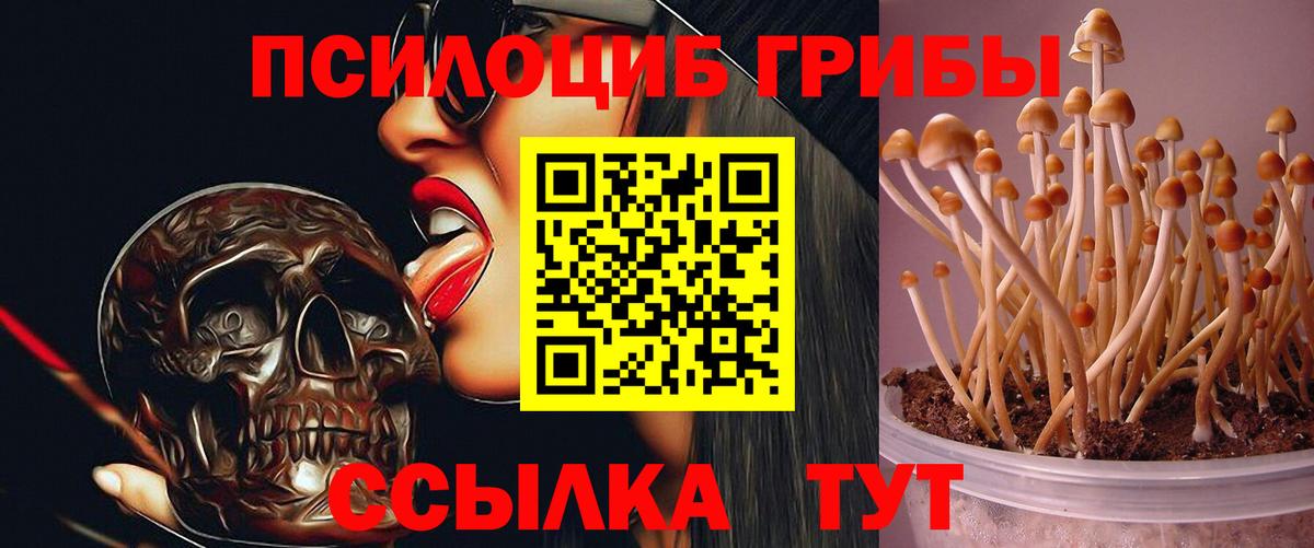 Купить наркотик  Конопля  КОКАИН  Меф   ГАШИШ  Арзамас  Вход с VPN 